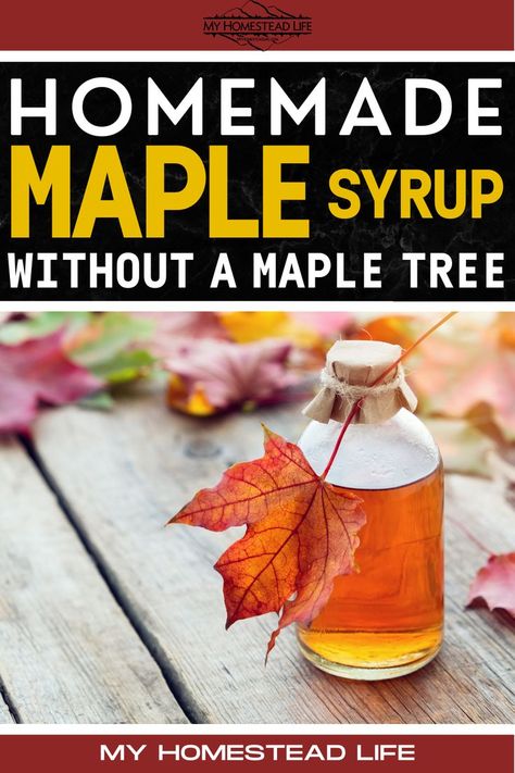 Are you lacking maple trees but want to make your own maple syrup? Don’t laugh, but you can make your own maple syrup without a tree. Want to know the secret ingredient? Corn cobs!! I kid you not. This recipe is too good not to try, at least once. Syrup Recipe Homemade, Maple Syrup Recipe, Homemade Maple Syrup, Low Acid Coffee, Pancake Toppings, Maple Trees, Coffee Games, Everyday Dishes, Maple Bacon