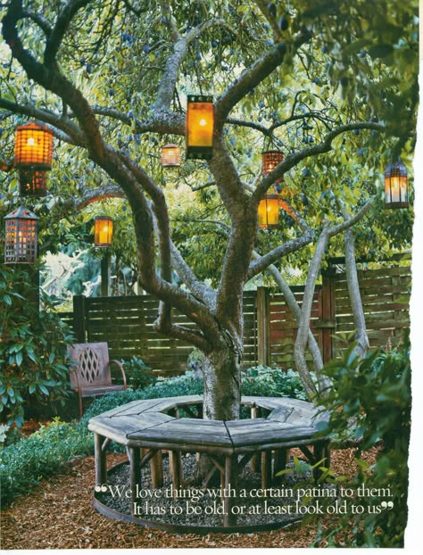 Beautiful tree with lanterns. I plan on doing this with my filbert tree. I love, love, love this!!!! Backyard Lanterns, Outdoor Tree Lighting, Tree Lanterns, Tree Bench, Backyard Trees, Lantern Ideas, Outdoor Trees, Backyard Lighting, Outdoor Backyard