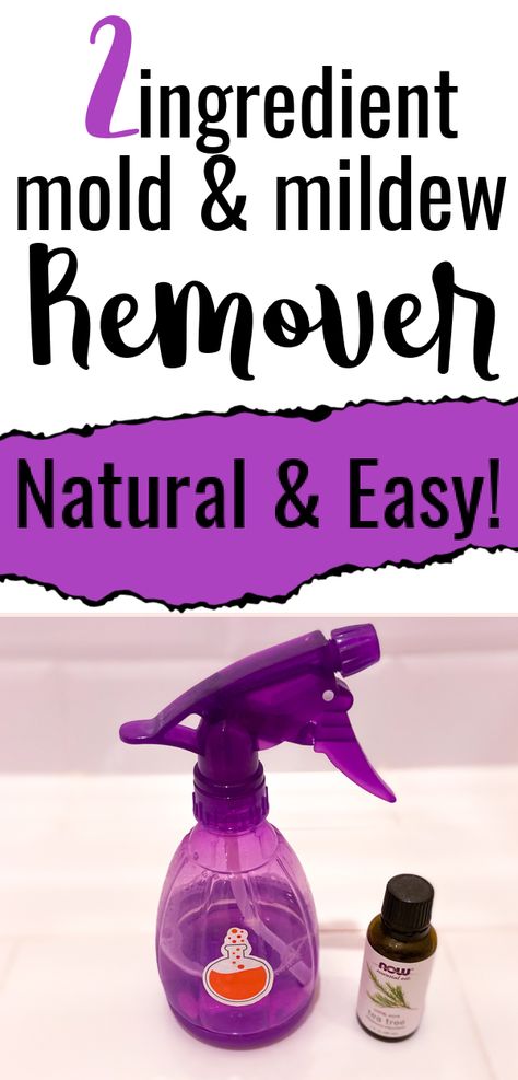 Instead of vinegar or hydrogen peroxide to remove mold or mildew in your bathroom, try this natural and easy DIY spray. You can use this on caulk or grout too. This homemade household tip will be your new favorite hack! Diy Black Mold Remover, Mold Killer Diy, Mold And Mildew Remover Diy, How To Remove Mildew From Fabric, Mold Remover Bathroom, Remove Mold From Walls, Remove Mold From Clothes, Diy Mold Remover, Remove Mold From Shower