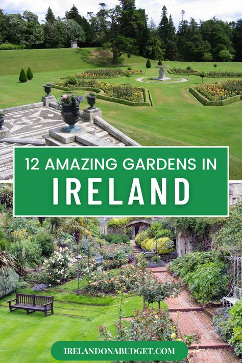 gardens with flowers and trees Irish Garden Ideas, Ireland Garden, Irish Garden, Ferns Garden, Garden Activities, Famous Gardens, Ireland Trip, County Cork, Garden Plans