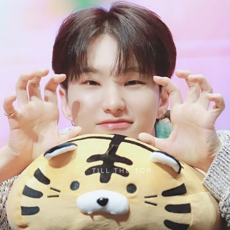 Korean Picture, Cute Tigers, Hoshi Seventeen, Seventeen Album, 인물 사진, Pledis Entertainment, Cute Celebrities, Cutie Patootie, Boyfriend Pictures