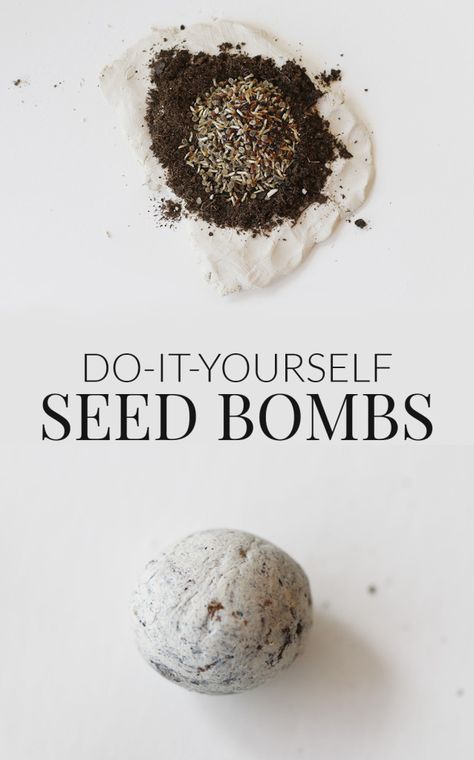 Great Ideas — 20 Summer DIY Projects! Read more at http://tatertotsandjello.com/2015/05/great-ideas-20-summer-diy-projects.html#1kajzPB8kzYI4HbE.99 Seed Balls, Summer Diy Projects, Bombe Recipe, Backyard Plants, Urban Farm, Easy Garden, Seed Pods, Summer Diy, Gardening For Kids