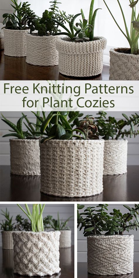 Plant Cozies - Free Knitting Patterns Plant Cozies, Plant Cozy, Loop Knitting, Plant Containers, نباتا�ت منزلية, Cozy Crochet Patterns, Knit Basket, Free Knitting Patterns, Yarn Projects