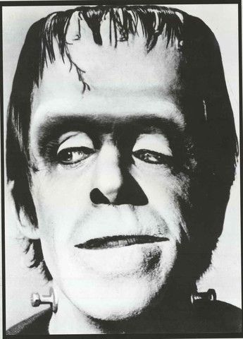 Herman Munster The Munsters Fred Gwynne TV Show Poster 24x33 Munsters Tv Show, Herman Munster, The Munster, Movie Art Print, Yvonne De Carlo, Elvira Mistress Of The Dark, Black And White Movie, The Munsters, Classic Television