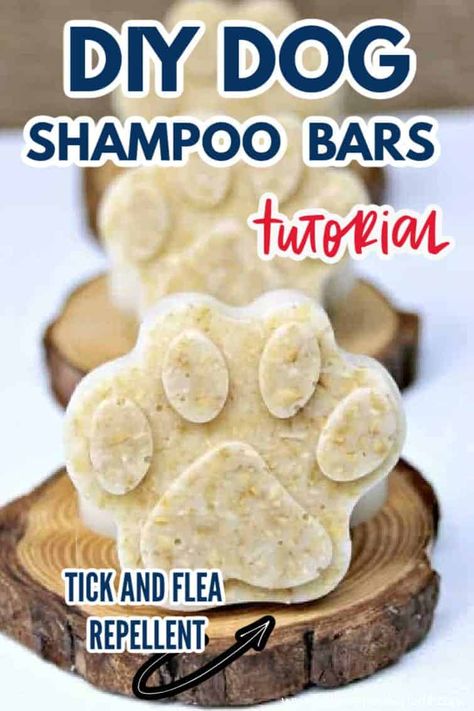 Dog Shampoo Recipe, Diy Shampoo Bar, Diy Dog Shampoo, Homemade Dog Shampoo, Homemade Shampoo Bar, Dog Shampoo Bar, Shampoo Bar Recipe, Natural Dog Shampoo, Homemade Bar