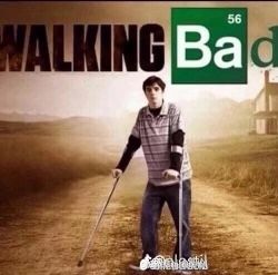 Breaking Bad Meme, Walking Bad, Breaking Bad Funny, Breaking Bad 3, Better Call Saul Breaking Bad, Bad Memes, Better Call Saul, Very Funny Pictures, Silly Pictures