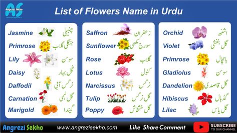 https://angrezisekho.com/list-of-flowers-with-urdu-hindi-meaning/ All Flowers Name, Carnation Flower Meaning, Urdu Image, Gladiolus Flower, List Of Flowers, Flower Meanings, Daffodil Flower, Marigold Flower, Camellia Flower