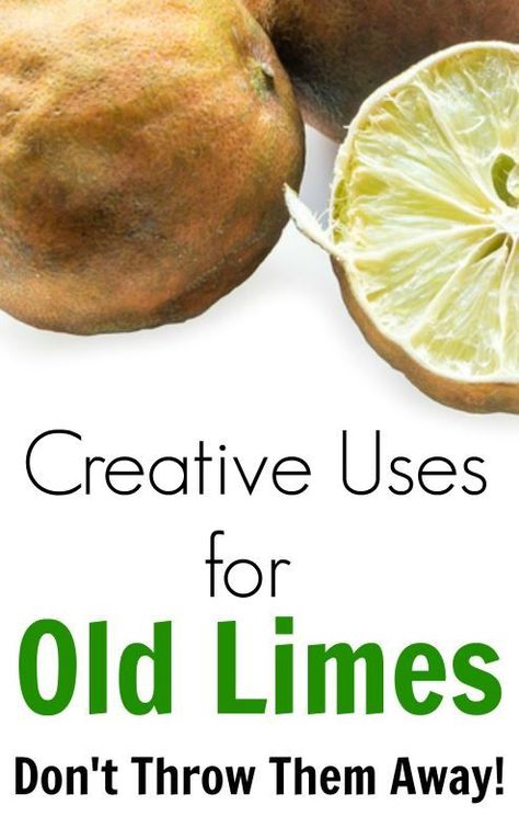 Wondering what to do with limes that are just a bit too old? Here are some creative uses for old limes so you don't have to throw them away! Old Lemons What To Do With, Fresh Limes Recipes, What To Do With Old Oranges, Old Oranges What To Do With, Uses For Limes, Recipes Using Fresh Limes, What To Do With Limes, Lime Recipes Healthy, Veggie Storage