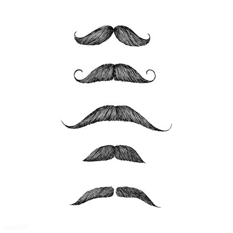 Hand drawn moustache isolated on white background | premium image by rawpixel.com Moustache Drawing, French Mustache, Mustache Drawing, Types Of Mustaches, Mustache Art, Mustache Tattoo, Moustache Style, Cool Mustaches