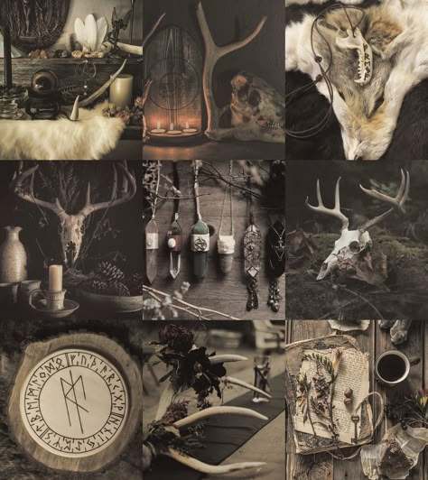 Viking Athstetic, Viking Witch Aesthetic, Cernunnos Aesthetic, Viking Moodboard, Dark Viking Aesthetic, Volva Norse Witch, Norse Aesthetic, Norse Witch, Viking Aesthetic