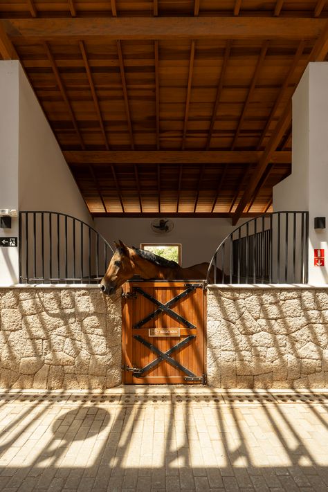 An Equestrian Oasis in Braganca Paulista, Brazil. - STABLE STYLE Horse Barn Interior, Equestrian House, Stable Inspiration, Arizona Vibes, Small Stable, Dream Barn Stables, Equestrian Stables, Equestrian Property, Stable Style