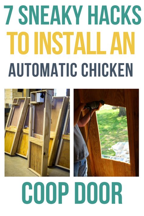 Installing an automatic chicken coop door? Here's what you need to know along with an automatic chicken coop door promo code if you need to buy one! Chicken Coop Automatic Door, Automatic Coop Door, Diy Automatic Chicken Coop Door, Chicken Door Ideas, Chicken Doors, Ranch Plans, Automatic Chicken Door, Urban Chicken, Chicken Door