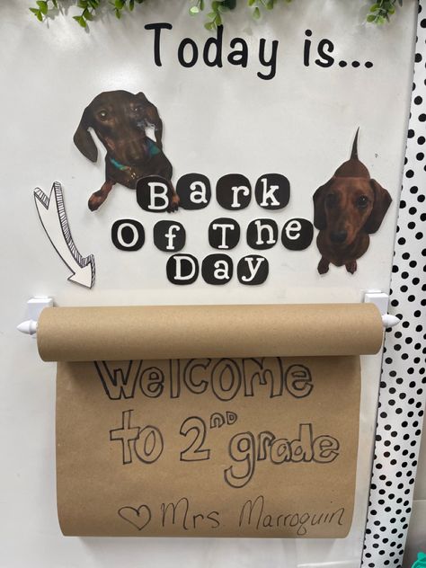 Bark Of The Day Classroom, Pet Study Bulletin Board, We Love Our Pets Bulletin Board, Pet Classroom Theme, Dog Theme Bulletin Board, Dog Theme Classroom Bulletin Boards, Dog Classroom, Innovative Teaching Ideas, Daily Message