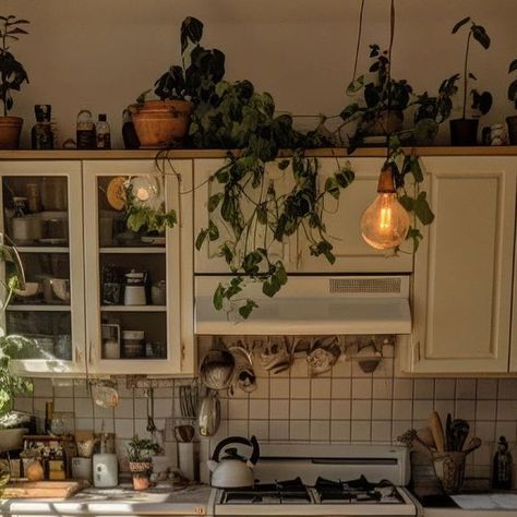 187K likes, 235 comments - interioryesplz on September 11, 2023: "Sunny kitchens 🌞✨ 📸: @interioryesplz (used Ai and other editors to create this photo) ..." Potting Sheds, Boho Interiors, Bohemian Home, Small House Design, House Inspo, Amazing Architecture, Kitchen Organization, Beautiful Gardens, Small House