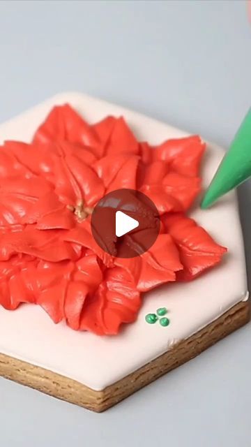 Stephanie | Little Cookie Co on Instagram: "I have a lot of favourite Christmas songs, but this is one of my top ones! #somedayatchristmas #poinsettia #poinsettiacookies #christmasbaking #christmascookies #decoratedcookies #decoratedsugarcookies #royalicing #royalicingcookies #cookietutorials #howtodecoratecookies" Poinsettia Sugar Cookies, Poinsettia Cookies Decorated, Little Cookie Co, Holiday Cookies Decorated, Favorite Christmas Songs, Cookie Tutorials, Christmas Songs, Flower Cookies, Cookies Decorated