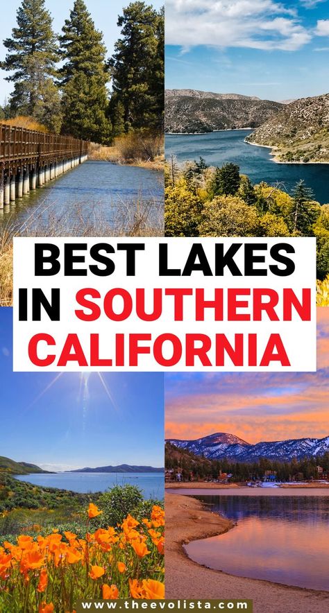 10 Best Lakes in Southern California for a perfect weekend getaway. Southern California lakes are great for camping, hiking, boating, swimming, fishing, & spending time in cute California towns. Lake Arrowhead | Big Bear Lake | Casitas | Cachuma | Lakes in Los Angeles | Lakes near Santa Barbara | Solvang | Ojai | Los Olivos | Temecula | Lakes in San Diego | Camping in Southern California | Camping Destinations in California | Dog-Friendly Camping in California #California #Lake #Camping #travel Lake Nacimiento California, Lake Perris California, Daisy Shelf, Camping In Southern California, California Lakes, Camping In California, Weekend Getaway California, Southern California Camping, Southern California Travel