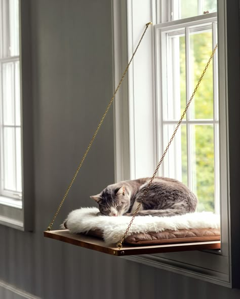 Cat Window Perch | Treat your feline by building her a place in the sun with a window seat that lets her scale new heights, settle in and watch the world (or nap!). Get the how-to here.  #cats #pets #marthastewart #DIY Cat Bed Diy, Katt Diy, Diy Animals, Diy Cat Bed, Katt Grejer, Kat Diy, Chat Diy, Wooden Cat House, Cat Window Perch