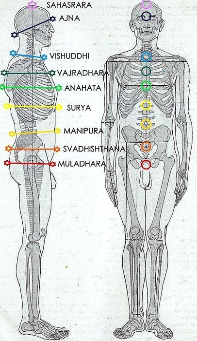 THE SYSTEM OF 9 MAIN CHAKRAS :: Centrumserafin Yoga Breathing Exercises, 7 Chakras Meditation, Chakra Locations, Captain America Wallpaper, Yoga Breathing, Sacred Science, Chakra Art, Check Register, Holistic Therapies