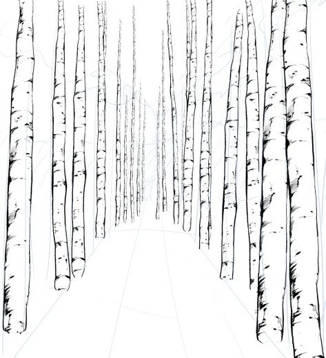 The Gloom Of Drawing Just Cleared Up Beautifully! How To Draw White Birch Tree Avenue With Trunk, Branch, Root Brush Material | MANGA MATERIALS Tree Trunk Texture Drawing, Birch Trees Drawing, Beech Tree Drawing, Drawing Birch Trees, Birch Tree Drawing, Manga Materials, White Birch Trees, Texture Drawing, Beech Tree