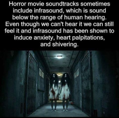 Scary Horror Stories, Short Creepy Stories, Wierd Facts, Mind Benders, Scary Facts, True Interesting Facts, Heart Palpitations, Interesting Facts About World, Creepy Facts