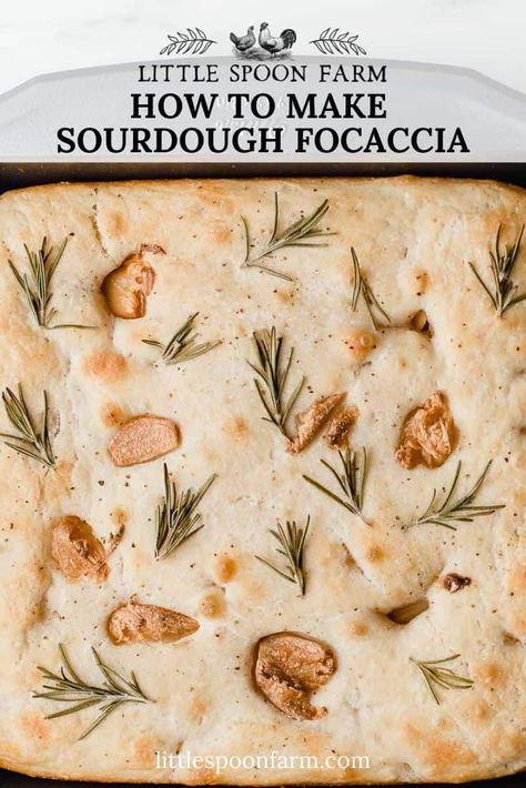 An easy, overnight Italian sourdough focaccia bread recipe that can be enjoyed as a side dish or even topped like a pizza. It's bakes up fluffy in the middle and crispy on the bottom and edges. This recipe has roasted garlic and fresh rosemary, but the topping options are endless! We've included a video to make the instructions easy to follow. Sourdough Focaccia Bread Recipe, Easy Sourdough Recipes, Little Spoon Farm, Discard Crackers, Sourdough Focaccia Recipe, Foccacia Recipe, Sourdough Focaccia, Foccacia Bread, Sourdough Pizza Crust