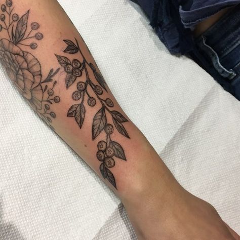 Minimalist Blueberry Tattoo, Blueberry Pie Tattoo, Blueberry Leaf Tattoo, Huckleberry Branch Tattoo, Blueberry Flower Tattoo, Blueberry Tattoo Black And White, Wild Blueberry Tattoo, Berry Vine Tattoo, Blueberry Plant Tattoo