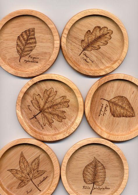 Diy Coaster Designs, Engraved Wood Ideas, Wooden Lasercut Ideas, Wood Coaster Ideas, Wood Coasters Diy, Deco Surf, Laser Cut Coaster, Tools Box, Tools Design