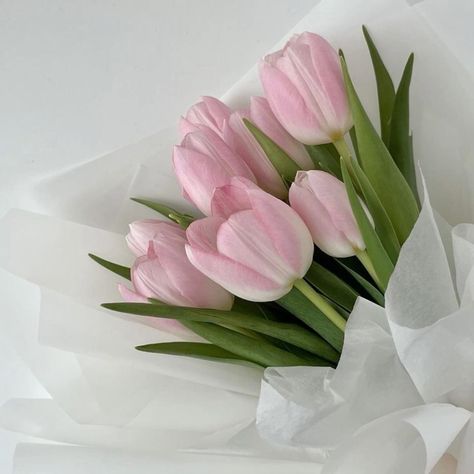 Pink Tulips Bouquet, Wallpers Pink, Boquette Flowers, Light Pink Flowers, Tulip Bouquet, Nothing But Flowers, Flower Therapy, Beautiful Bouquet Of Flowers, Pink Tulips