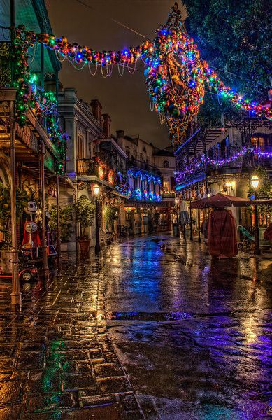 Christmas in New Orleans   I think part of what makes New Orleans Square so different than other areas of Disneyland at Christmas is its rich, jewel tone color scheme. I love the way those colors dance across everything in their reach, especially the ground. The night it rained while...Read more here at Tours Departing Daily Christmas In New Orleans, Nouvelle Orleans, George Town, Grand Cayman, Montego Bay, New Orleans Louisiana, Christmas Scenes, City Street, Happiest Place On Earth