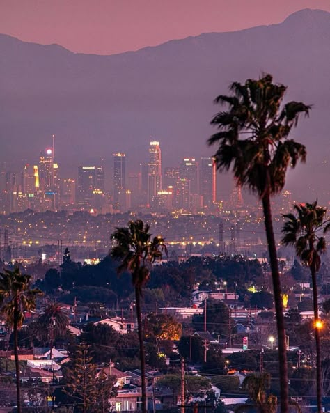 Night California Aesthetic, 2014 Los Angeles Aesthetic, California Mexican Aesthetic, Cool Places Aesthetic, 2016 La Aesthetic, 90s La Aesthetic, 2014 La Aesthetic, Dtla At Night, La 2014 Aesthetic