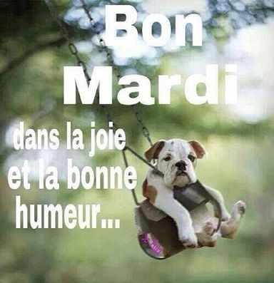 Mardi Humour, Cite Sources, Bon Mardi, Citation Positive, Academic Writing, Good Night Quotes, Finding Peace, Words Of Encouragement, Good Morning