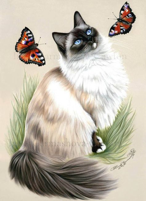 Prettiest Cat, Shepherd Art, Cat Art Painting, Kitten Wallpaper, Birman Cat, Himalayan Cat, Cat Photos, Cat Pictures, Cat Artwork