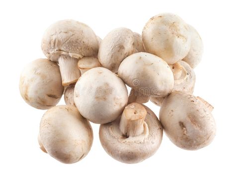 Mushroom White Background, Italian Spaghetti And Meatballs, Spaghetti Meatball Recipes, White Button Mushrooms, Mushroom Stock, Mushroom Images, Button Mushroom, Button Mushrooms, Photo Buttons