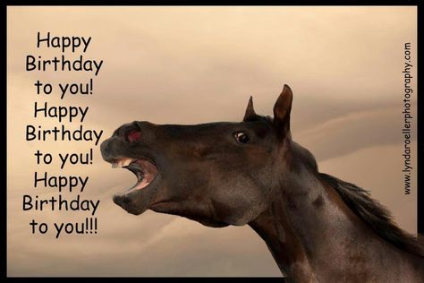 Birthday Greetings Horse Happy Birthday Image, Birthday Advice, Happy Birthday Emoji, Birthday Horse, Birthday Animals, Happy Birthday Wine, Funny Birthday Meme, Funny Happy Birthday Wishes, Emoji Birthday