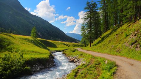 Ecosystem Services, Stream Water, Autumn Landscapes, Irrigation Systems, Water River, Protect Nature, Mountains Travel, River Landscape, Camper Van Conversion