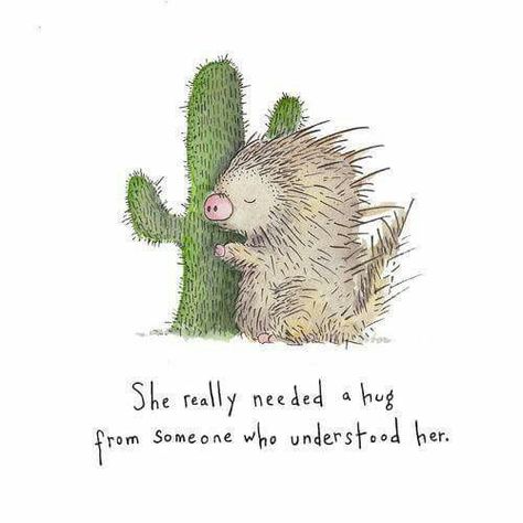 Cactus and porcupine. Cactus Quotes, Hug Quotes, A Hedgehog, Peer Support, Need A Hug, A Hug, Support Group, Cute Quotes, The Words