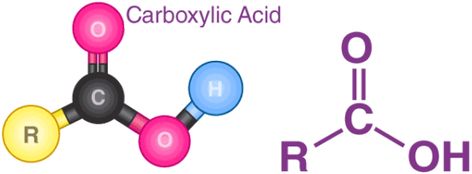 Chemistry Definition, Organic Synthesis, Hydrogen Atom, Functional Group, Carboxylic Acid, Colorful Borders Design, Colorful Borders, Water Molecule, Artificial Fruit