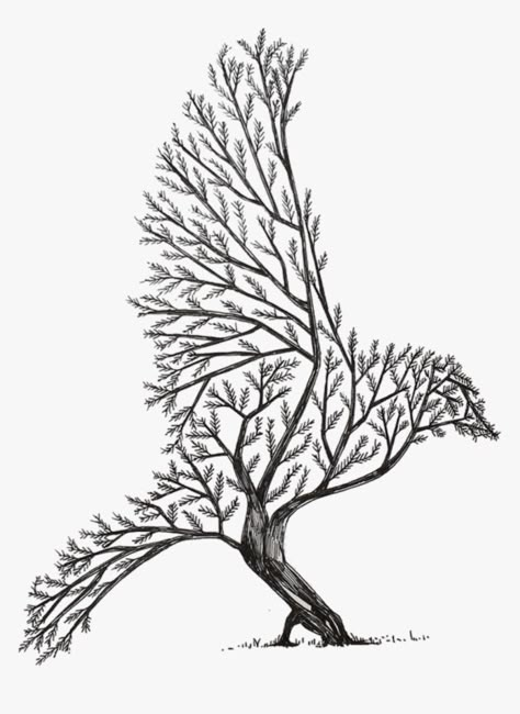 Tree Drawing Easy, Alfred Basha, Pine Tattoo, Tree Branch Tattoo, Occult Tattoo, Drawing Png, Chest Tattoos For Women, Bird Tree, Elegant Tattoos