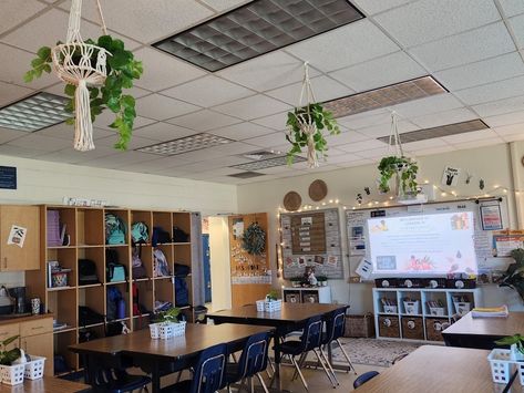 Plants, boho,  Michael's, school, classroom, middle school, decor, design Ceiling Decoration For Classroom, Hanging Plants In Classroom, Hygge Classroom, Drop Down Ceiling, Classroom Ceiling, Special Education Classroom Setup, Plants Classroom, Middle School Classroom, Library Decor