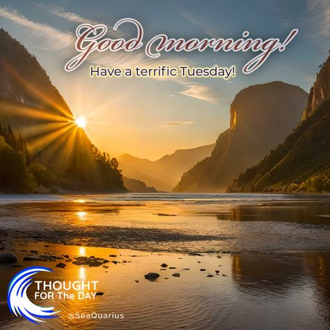 Good morning! Have a terrific Tuesday! Have A Terrific Tuesday, Terrific Tuesday, Ocean Lover, Morning Quotes, Good Morning Quotes, More Fun, Good Morning, Quotes