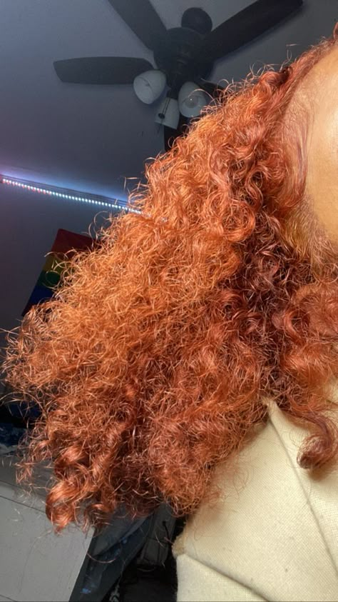 Red Orange Dyed Hair, Ginger On Brown Skin, Dyed Hair Natural, Ginger Red Hair Color, Honey Blonde Natural Hair, Natural Hair Coloring, Cinnamon Hair, Dyed Curly Hair, Peekaboo Hair