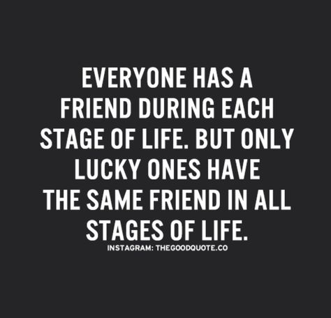 Everyone Has A Friend During Each Stage Of Life, Everyone Has A Friend During Each Stage, Stage Quotes, Gather Quotes, Fake Friends, Life Stages, That One Friend, All Quotes, New Quotes