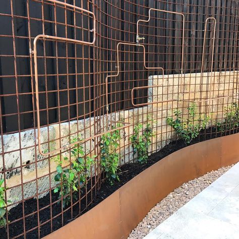 Andrew Beck on Instagram: “Metal curved trellis we created with a Cotten steel raised garden bed and ornate copper work. The trellis will be covered with star jasmine” Curved Trellis, Garden Boundary, Repurposed Metal, Trellis Ideas, Copper Work, Coastal House, Port Macquarie, Star Jasmine, Vegetable Gardens