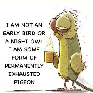 I AM NOT AN EARLY BIRD OR A NIGHT OWL Y I AM SOME FORM OF PERMANENTLY EXHAUSTED PIGEON – popular memes on the site iFunny.co Permanently Exhausted Pigeon, Funny Cartoon Quotes, Cartoon Quotes, Sarcastic Quotes Funny, Early Bird, E Card, Sarcastic Quotes, Funny Cartoons, Funny Signs