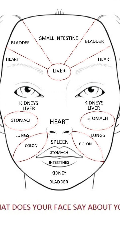 Chinese Face Map, Chinese Face Reading, Face Map, Face Massage Anti Aging, Infographic Chart, Face Mapping Acne, Body Diagram, Hand Reflexology, Reflexology Chart