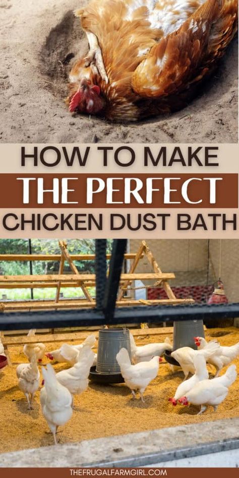 Chicken Dust Bath, Dust Bath For Chickens, Raising Meat Chickens, Raising Chickens For Eggs, Chickens For Eggs, Chickens For Beginners, Costco Meals, Clean Chicken, Types Of Chickens