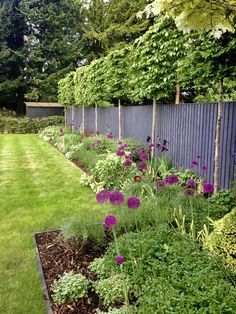 Garden Boarders Ideas, Fence Border Landscaping, Border Landscaping, Garden Border Plants, Back Garden Landscaping, Fence Border, Courtyard Gardens Design, Garden Privacy, Back Garden Design