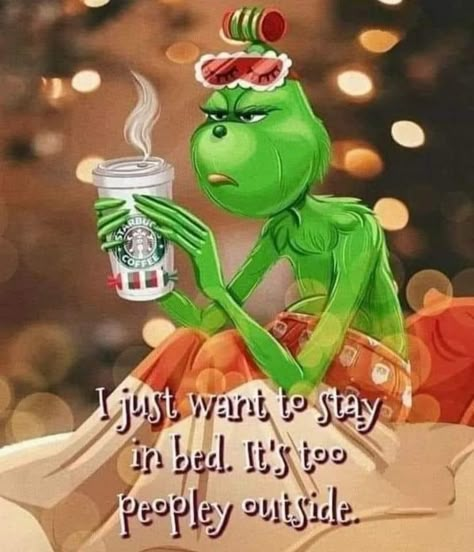 Grinch Drinks, Lady Grinch, Christmas Quotes Grinch, Grinch Memes, Christmas Qoutes, Grinch Images, Grinch Stuff, Funny Mean Quotes, Christmas Wallpaper Iphone Cute