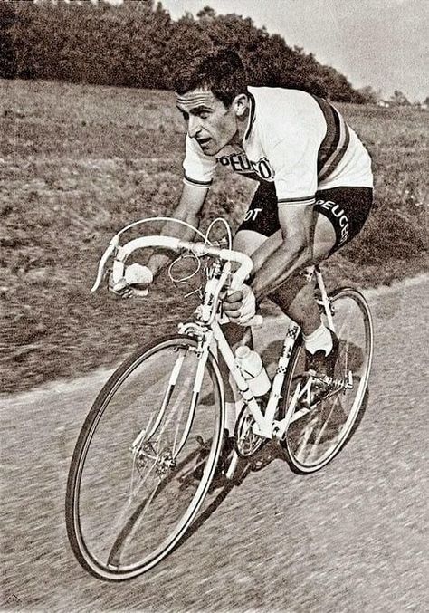 Tom Simpson, Bike Restoration, Racing Cyclist, Cycling Pictures, Road Bike Vintage, Cycling Posters, Velo Vintage, Bicycle Types, Vintage Cycles