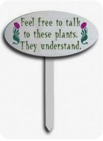 Funny Garden Signs, Funny Vine, Evergreen Garden, Garden Vines, Garden Shrubs, Garden Quotes, School Garden, Design Garden, Garden Club